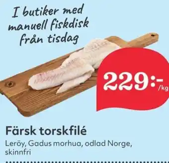 Färsk torskfilé