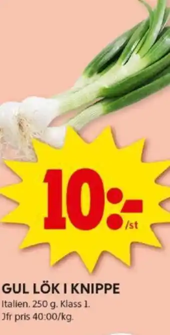 ICA Kvantum GUL LÖK I KNIPPE erbjuda