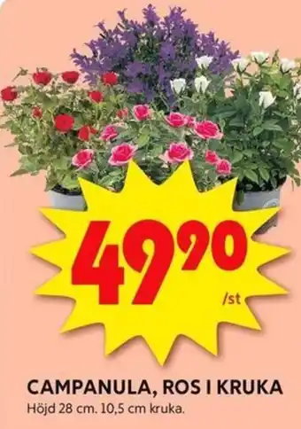 ICA Kvantum CAMPANULA, ROS I KRUKA erbjuda