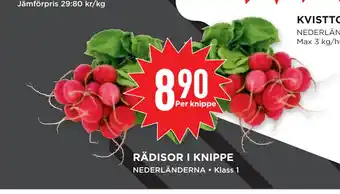 Willys RÄDISOR I KNIPPE erbjuda