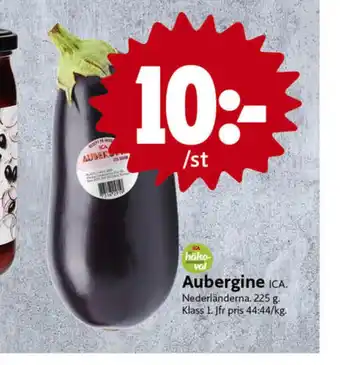 ICA Nära Ica aubergine erbjuda