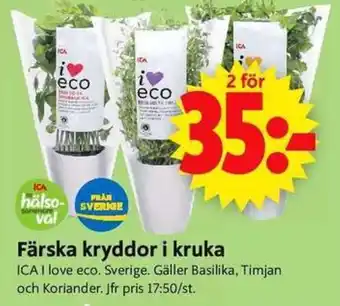 ICA Supermarket Färska kryddor i kruka erbjuda