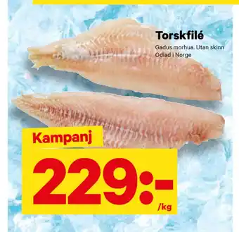 City Gross Torskfilé erbjuda