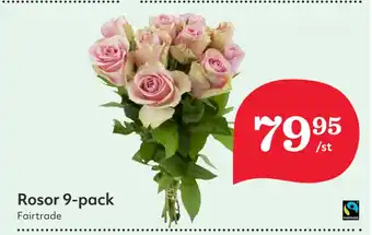 Hemköp Rosor 9-pack erbjuda