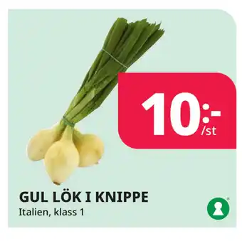Tempo GUL LÖK I KNIPPE erbjuda