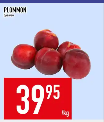 Matdax PLOMMON erbjuda
