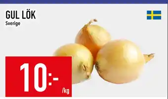 Matdax GUL LÖK erbjuda