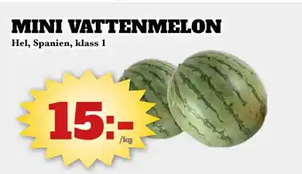 MINI VATTENMELON
