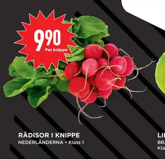 Willys Hemma RÄDISOR I KNIPPE erbjuda