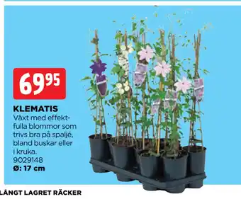 Jem&Fix KLEMATIS erbjuda