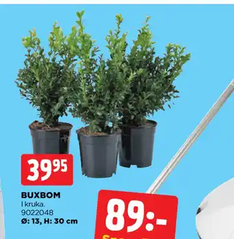 Jem&Fix BUXBOM erbjuda