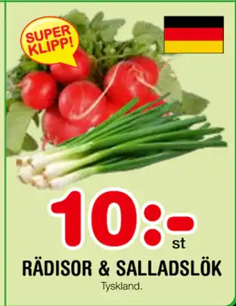 Nya Pulsen RÄDISOR & SALLADSLÖK erbjuda