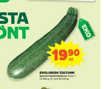 EKOLOGISK ZUCCHINI