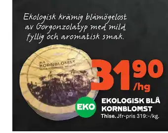 EKOLOGISK BLÅ KORNBLOMST