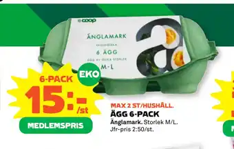 Stora Coop ÄGG 6-PACK erbjuda