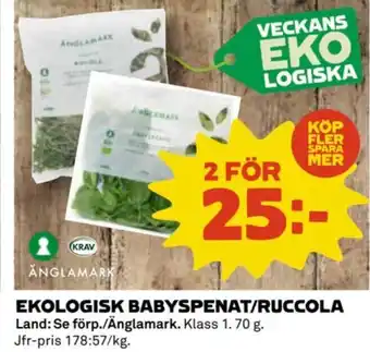 Coop EKOLOGISK BABYSPENAT/RUCCOLA erbjuda