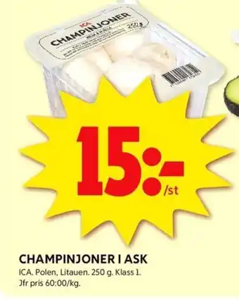 ICA Kvantum CHAMPINJONER I ASK erbjuda