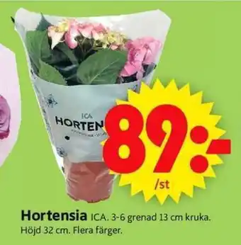 ICA Supermarket Hortensia erbjuda