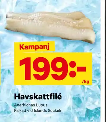 City Gross Havskattfilé erbjuda