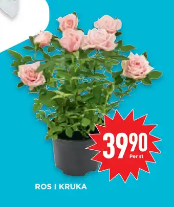 Willys Hemma ROS I KRUKA erbjuda
