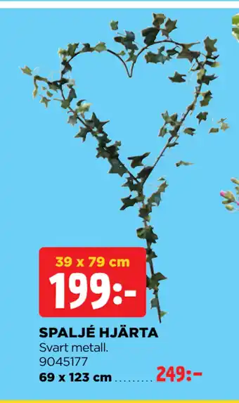 SPALJÉ HJÄRTA