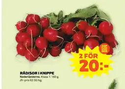 Stora Coop RÄDISOR I KNIPPE erbjuda