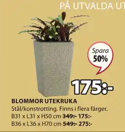 JYSK BLOMMOR UTEKRUKA erbjuda