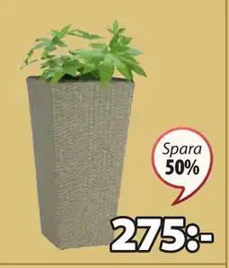 JYSK BLOMMOR UTEKRUKA erbjuda