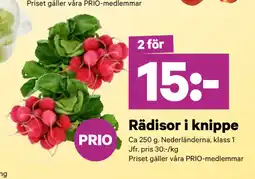 City Gross Rädisor i knippe erbjuda