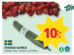 Tempo SVENSK GURKA erbjuda