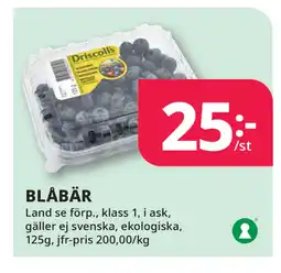 Tempo BLÅBÄR erbjuda