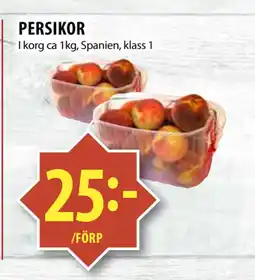 PERSIKOR