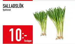 Matdax SALLADSLÖK erbjuda