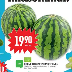 Willys Hemma EKOLOGISK MINIVATTENMELON erbjuda