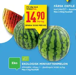 Willys EKOLOGISK MINIVATTENMELON erbjuda