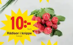 Matöppet Rädisor i knippe erbjuda
