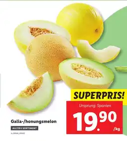 Lidl Galia-/honungsmelon erbjuda