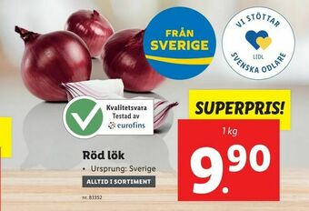 Röd lök