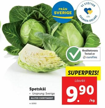 Lidl Spetskål erbjuda