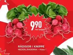 Nature choise rädisor