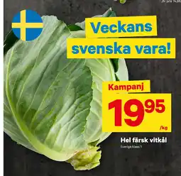 City Gross Hel färsk vitkål erbjuda
