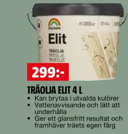 Bauhaus TRÄOLJA ELIT 4 L erbjuda