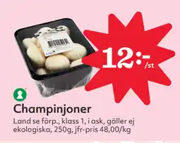Hemköp Champinjoner erbjuda
