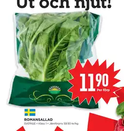 Willys Hemma ROMANSALLAD erbjuda