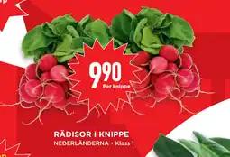 Willys Hemma RÄDISOR I KNIPPE erbjuda