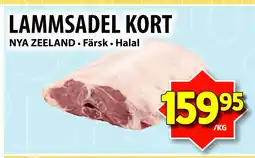LAMMSADEL KORT