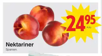 Matöppet Nektariner erbjuda