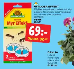 Jem&Fix MYRDOSA EFFEKT erbjuda