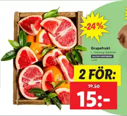 Lidl Grapefrukt erbjuda