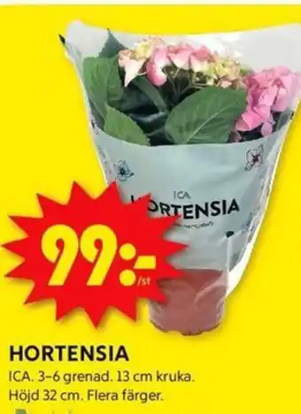 ICA Kvantum HORTENSIA erbjuda